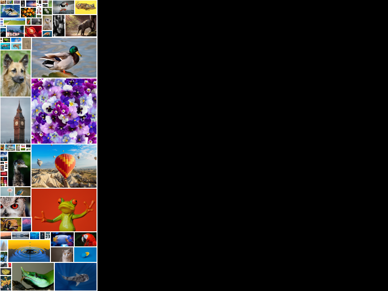 Sample image output of collage-solver after 1 generation