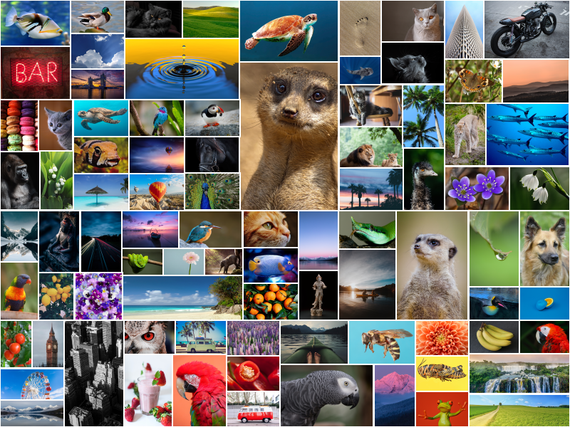 Sample image output of collage-solver